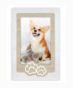 Ibis-Marco-Mod.-Zampa-10x15-1